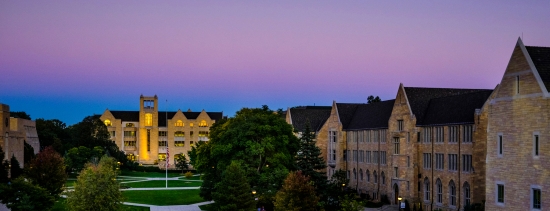 Banner Image For University of St. Thomas