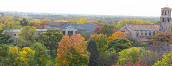 Banner Image For St. Catherine University