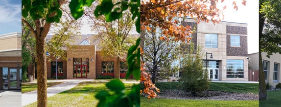 Banner Image For Minnesota State Community and Technical College